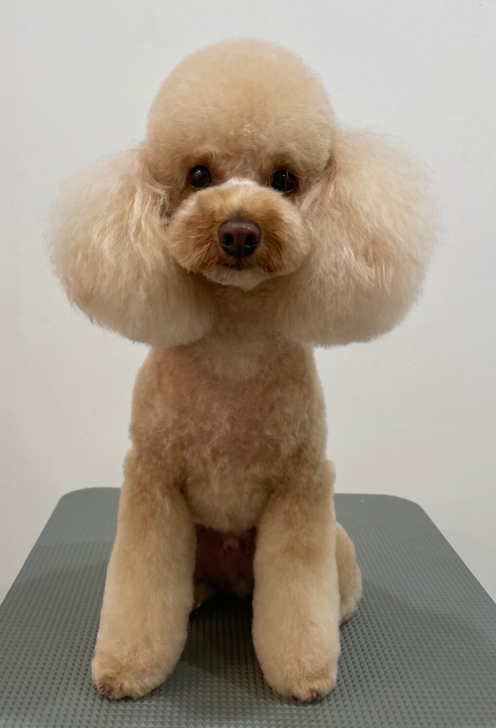 2025-11-19%e5%b8%82%e5%b7%9d%e3%82%80%e3%81%8e