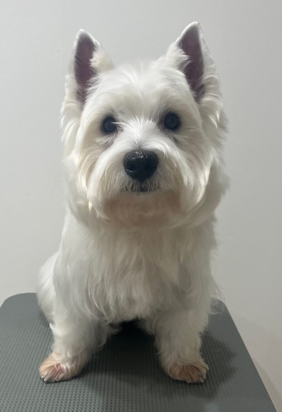 2025-11-19%e8%b6%b3%e7%ab%8b%e3%83%a2%e3%82%a2