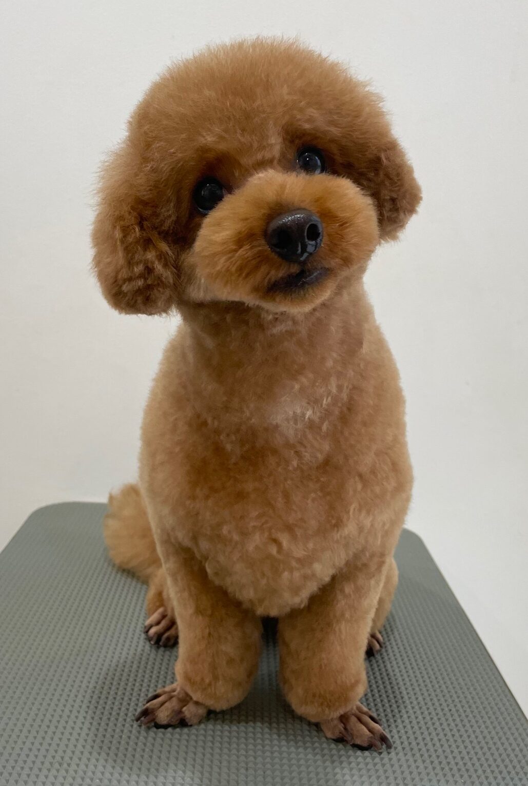 2025-11-2-%e5%a4%8f%e8%a6%8b%e3%82%80%e3%81%8e