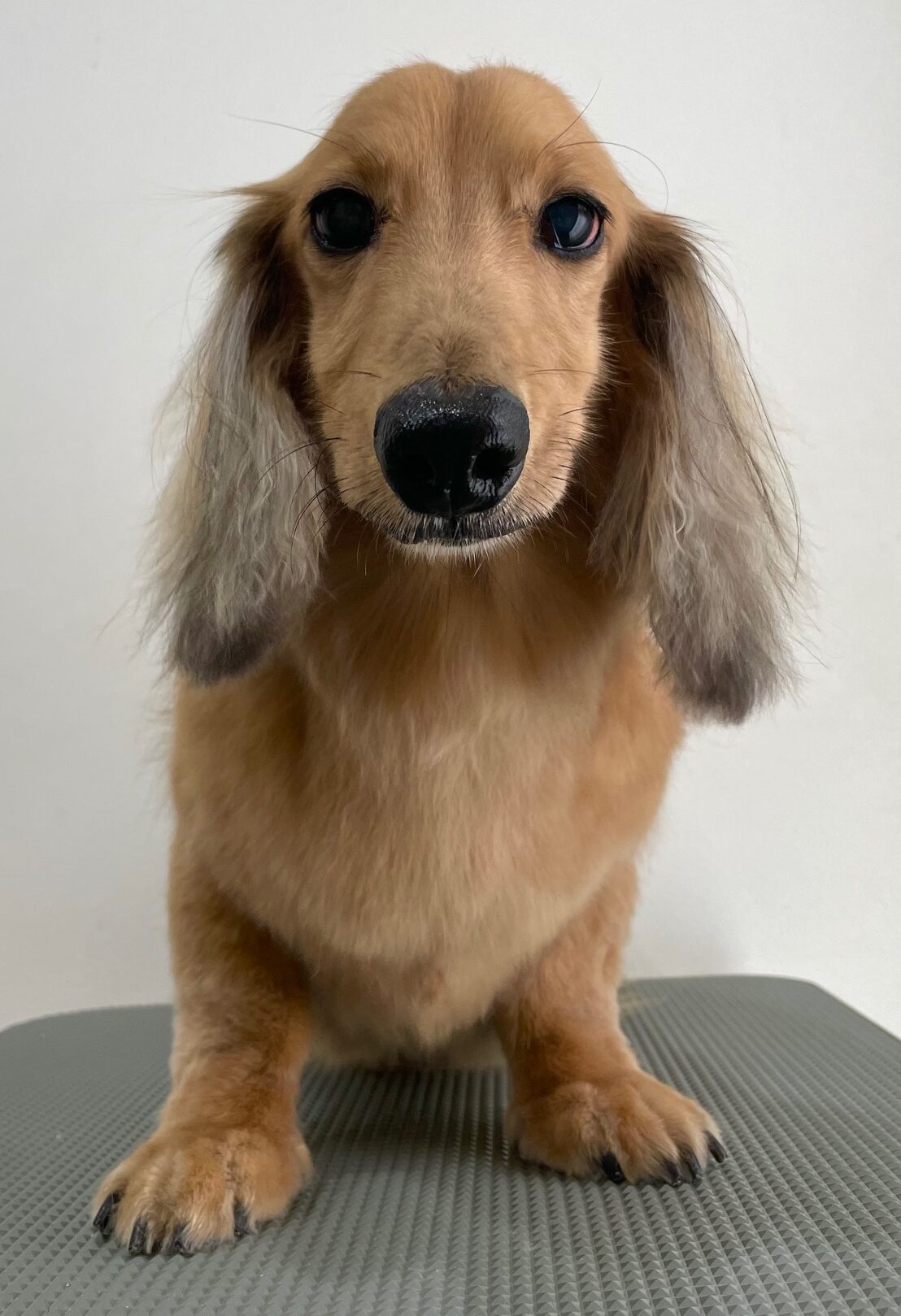 2025-11-2-%e5%b0%8f%e6%9d%be%e3%83%a9%e3%83%b3%e3%83%87%e3%82%a3%e3%83%bc