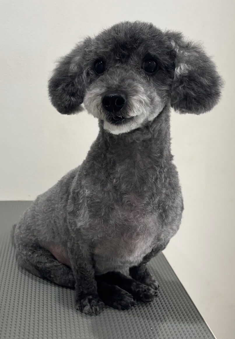 2025-11-2-%e6%98%9f%e9%87%8e%e6%9f%9a