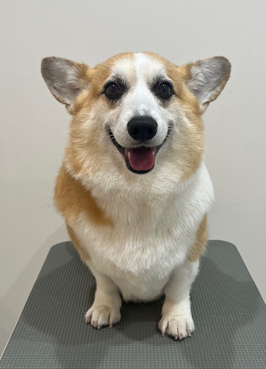 2025-11-21%e5%a5%a5%e6%b4%a5%e3%81%8f%e3%81%85