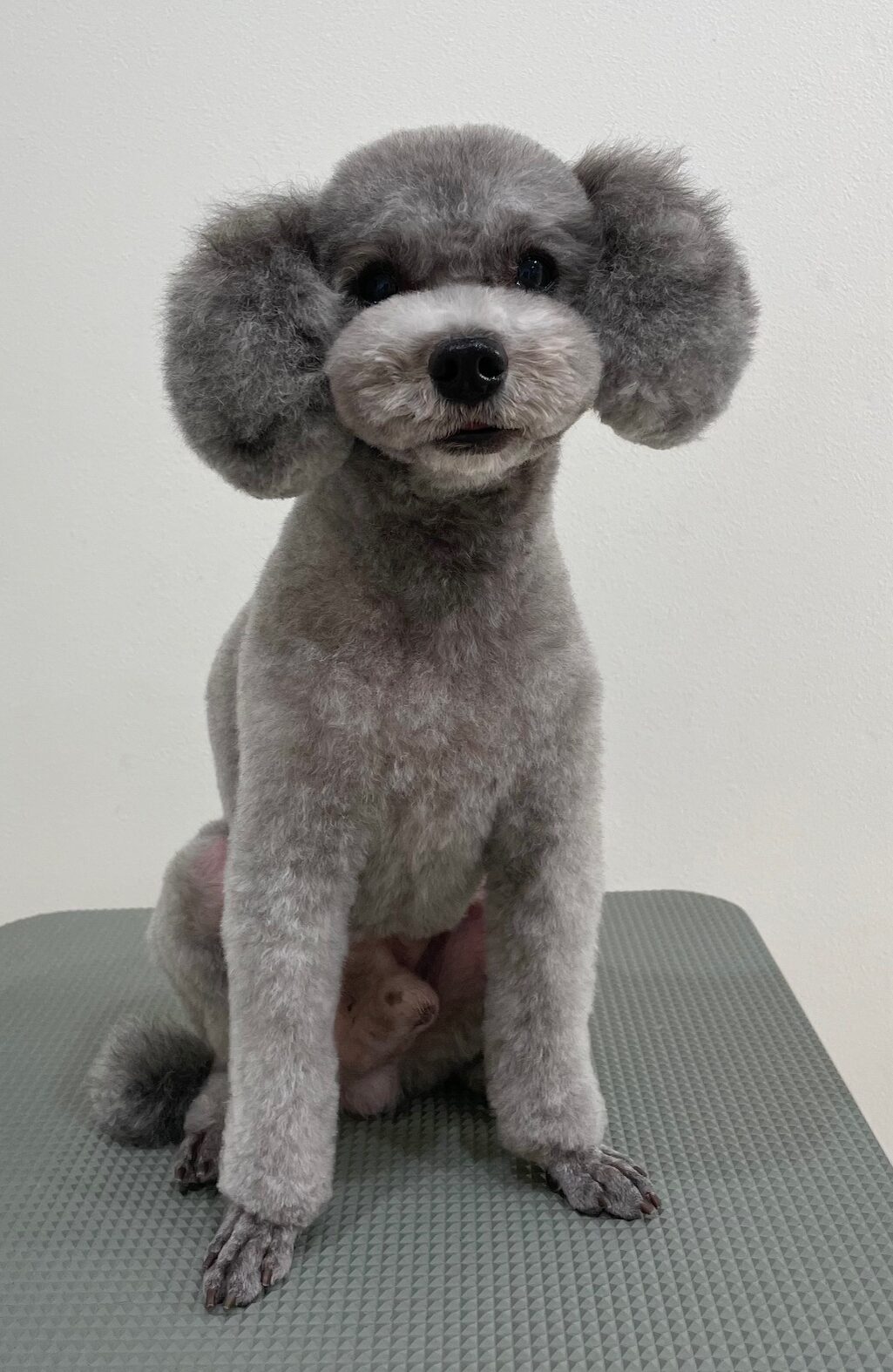 2025-11-21%e6%a9%8b%e6%9c%ac%e3%81%93%e3%81%92%e3%81%9f%e3%82%8d%e3%81%86