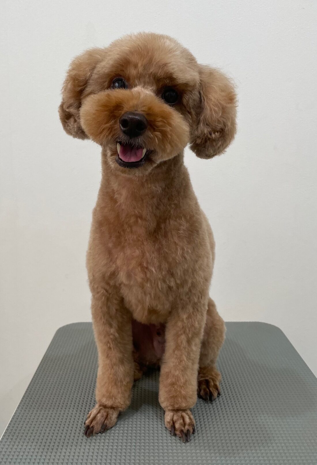 2025-11-21%e6%b8%a1%e9%82%89%e3%81%ad%e3%82%8b