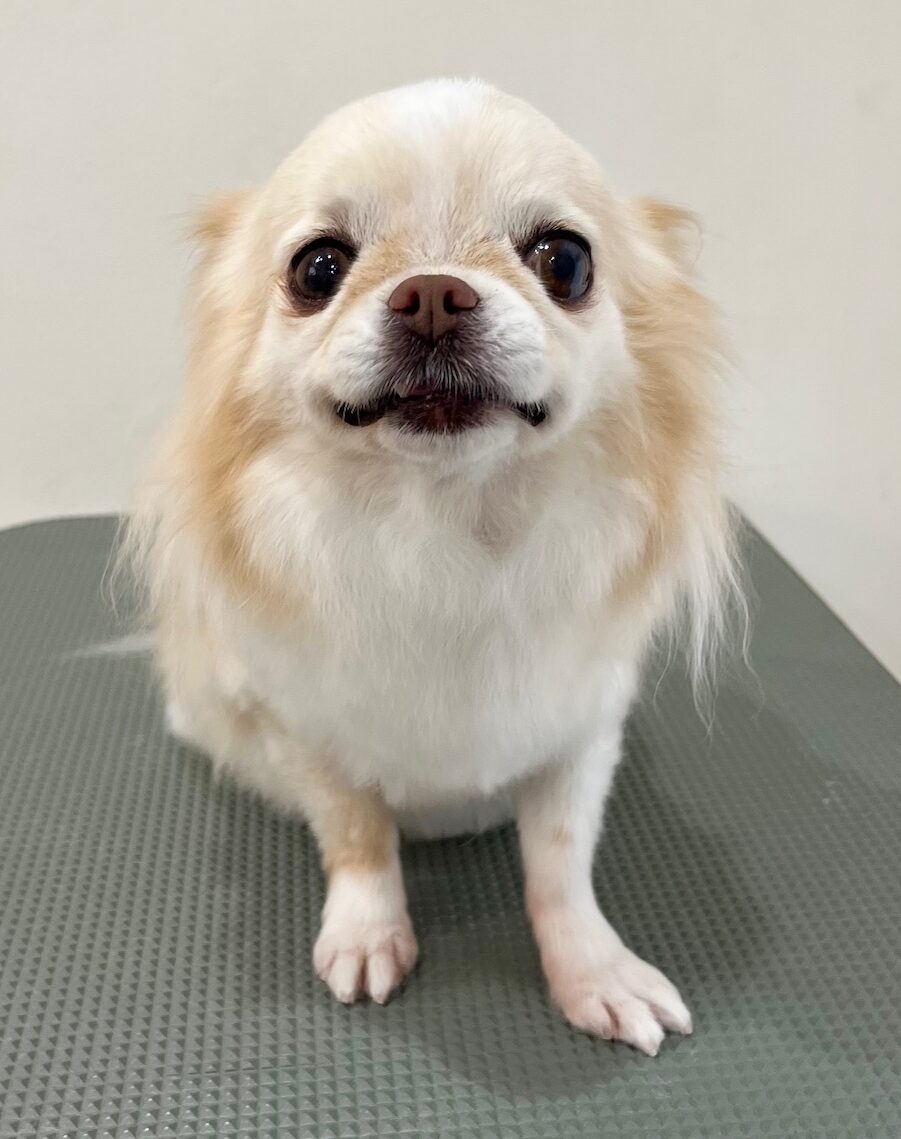 2025-11-21%e8%8f%85%e5%8e%9f%e3%81%95%e3%81%8f%e3%82%89