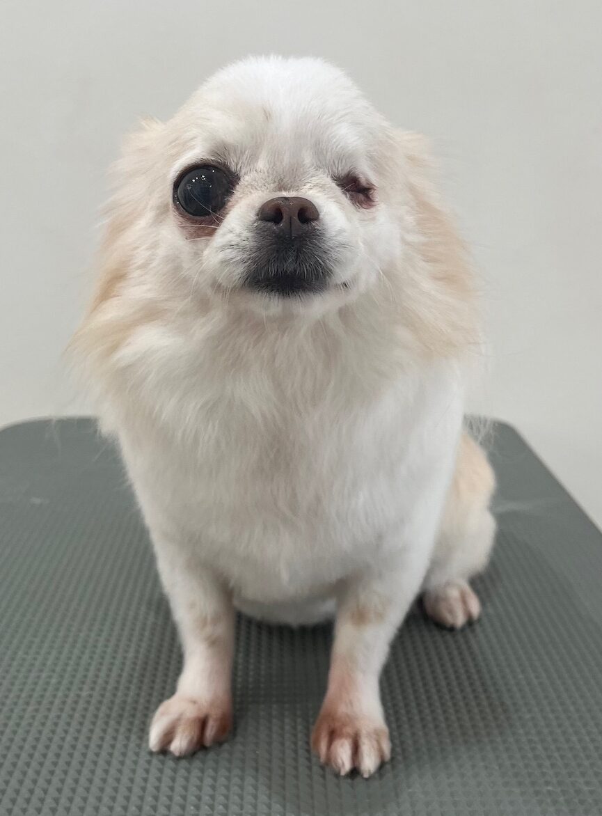 2025-11-21%e8%8f%85%e5%8e%9f%e3%83%81%e3%83%a3%e3%82%a4