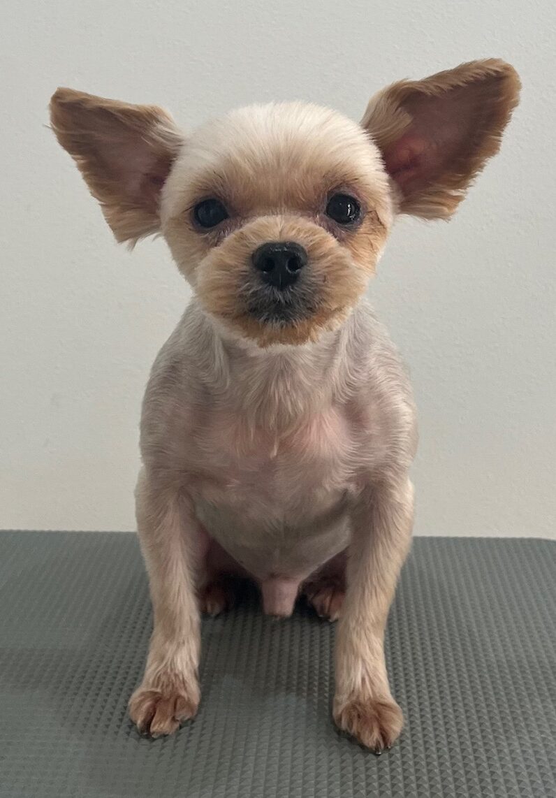 2025-11-21%e8%bf%91%e8%97%a4%e6%96%b0%e5%85%ab