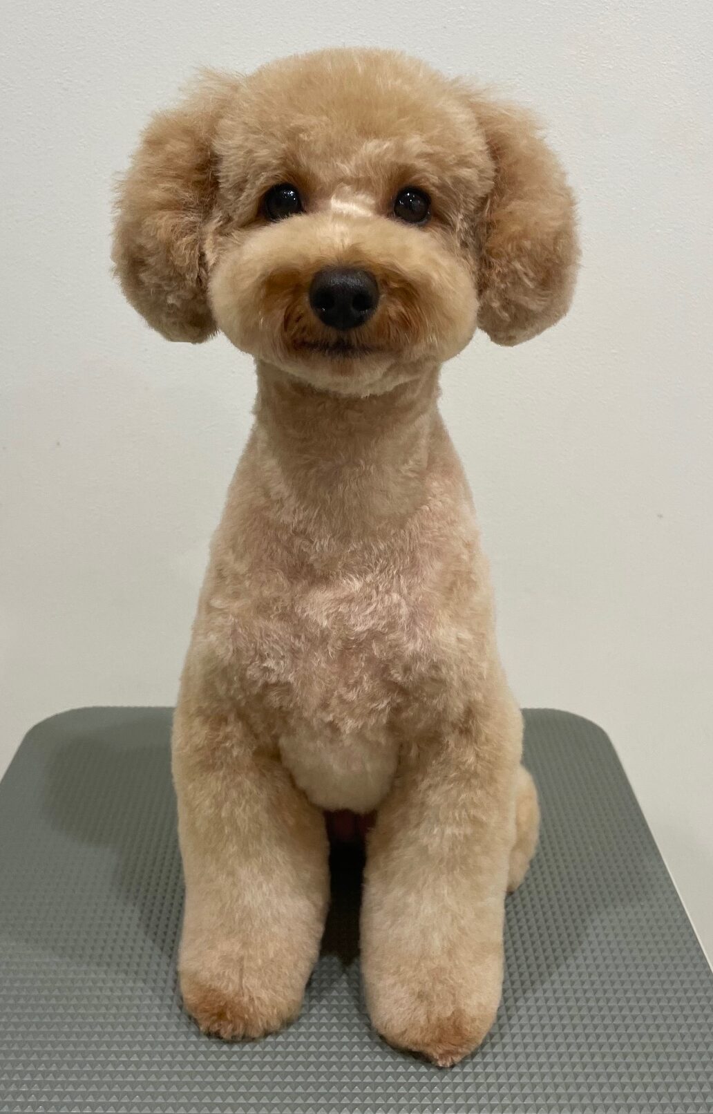 2025-11-4-%e5%87%ba%e9%87%8e%e3%82%82%e3%82%82%e3%81%8b