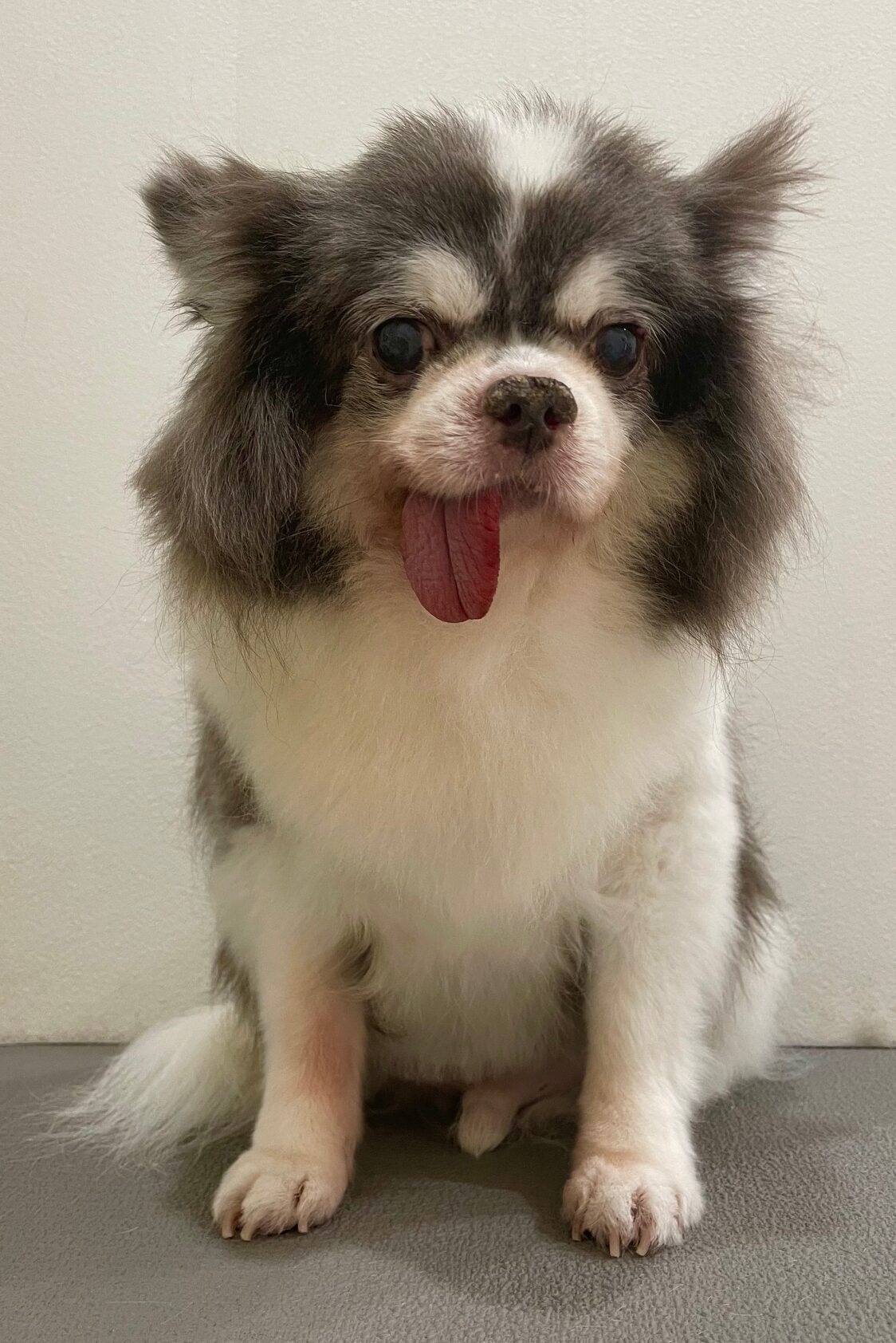 2025-11-4-%e5%9f%8e%e7%94%b0%e3%83%9e%e3%82%a4%e3%83%ad