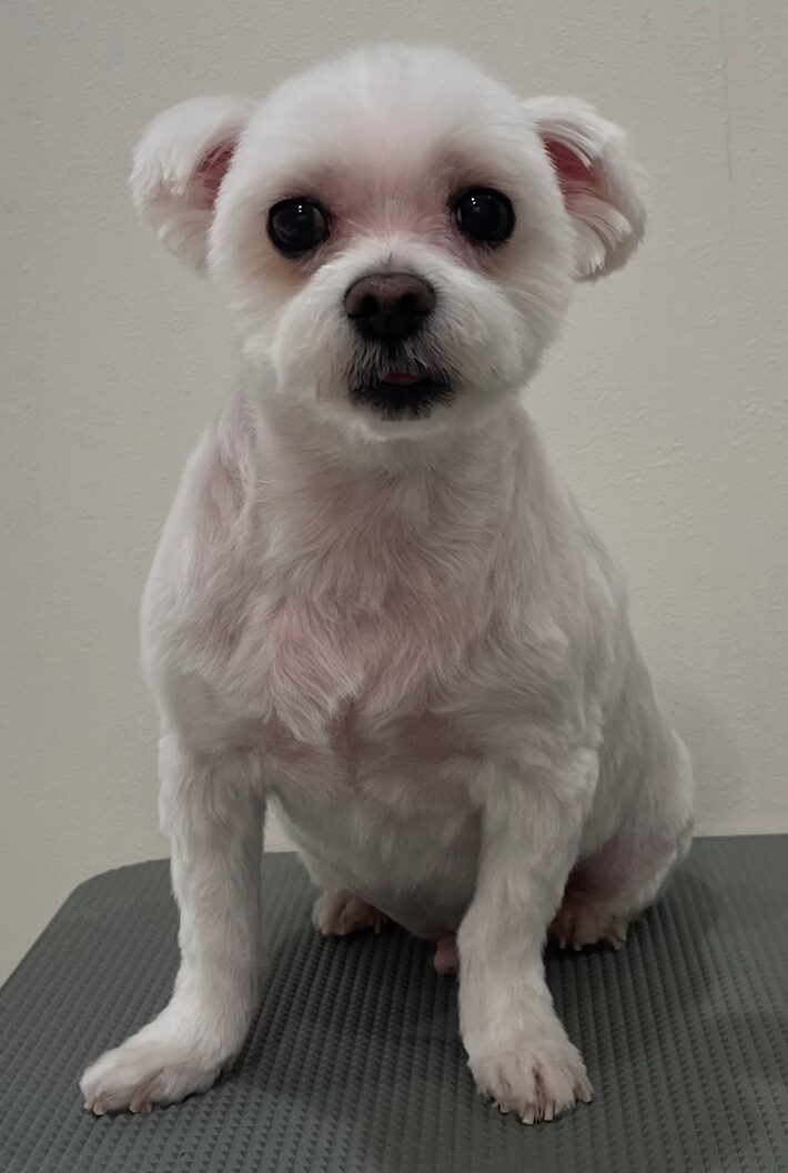 2025-11-4-%e5%b2%a9%e8%a6%8b%e5%a4%a7%e7%a6%8f