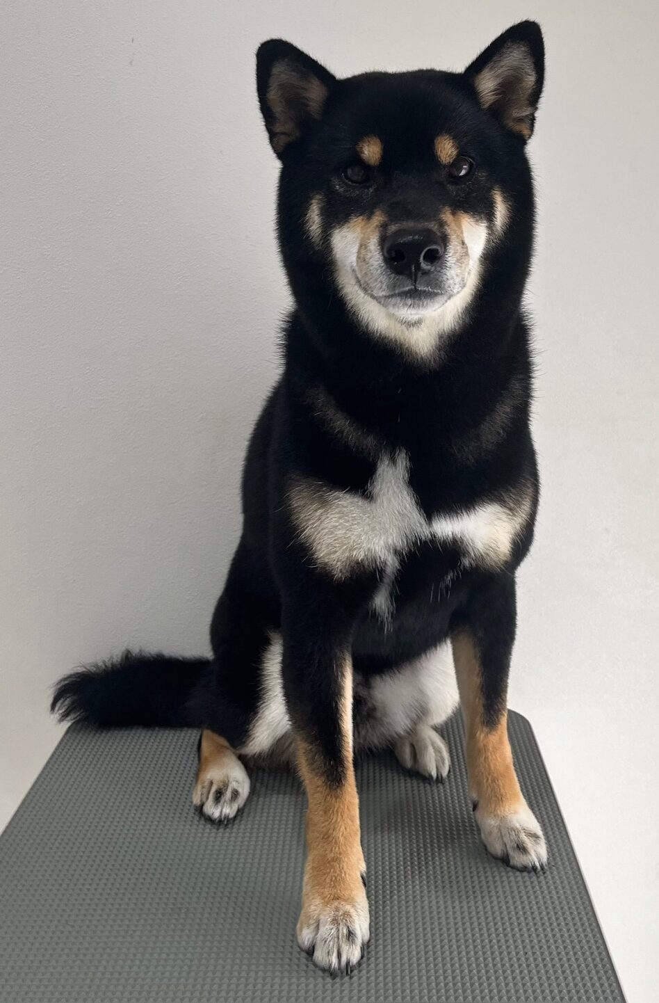 2025-11-4-%e9%bb%92%e6%be%a4%e3%81%b2%e3%81%be%e3%82%8f%e3%82%8a