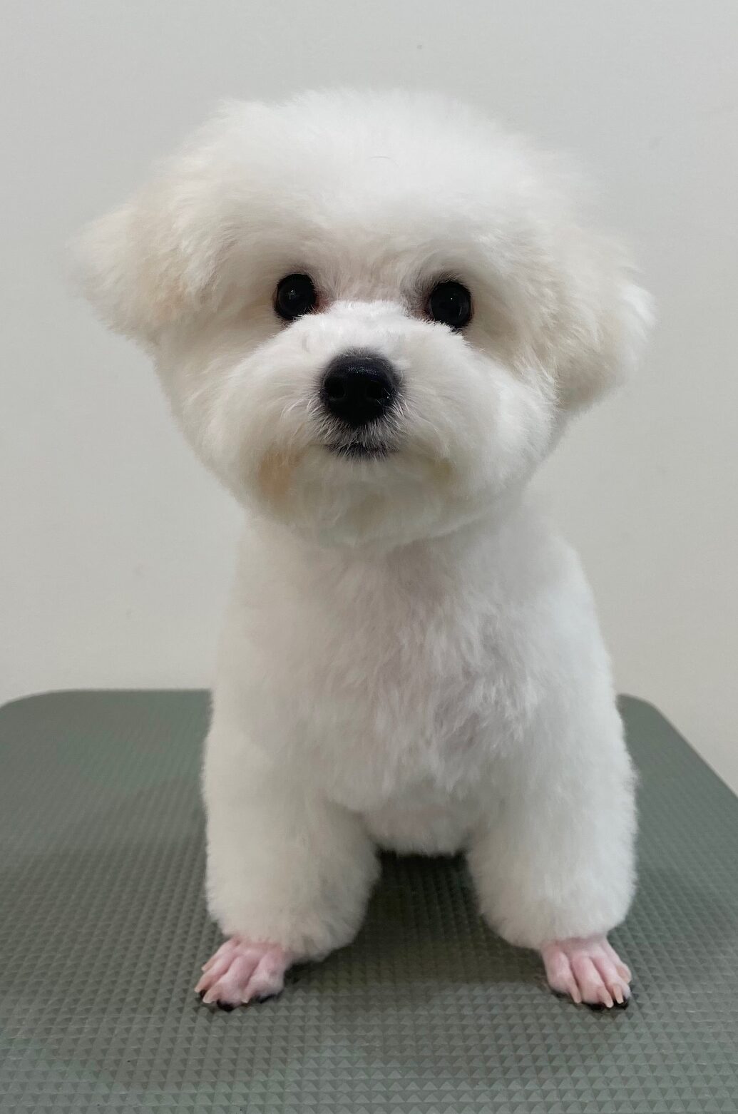 2025-11-5-%e4%ba%95%e4%b8%8a%e3%81%86%e3%82%8b%e3%82%8b