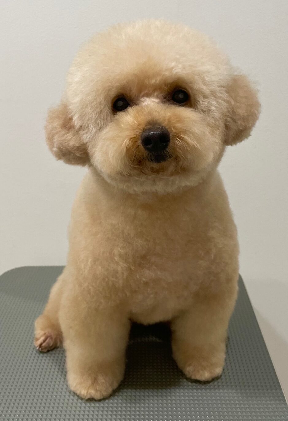 2025-11-5-%e5%b0%8f%e6%9e%97%e3%81%b7%e3%81%86