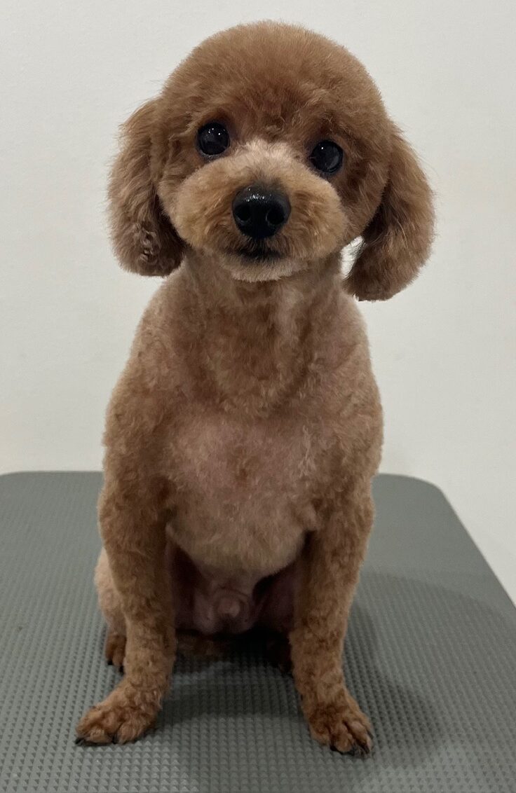 2025-11-5-%e6%9d%91%e4%ba%95%e9%a2%a8