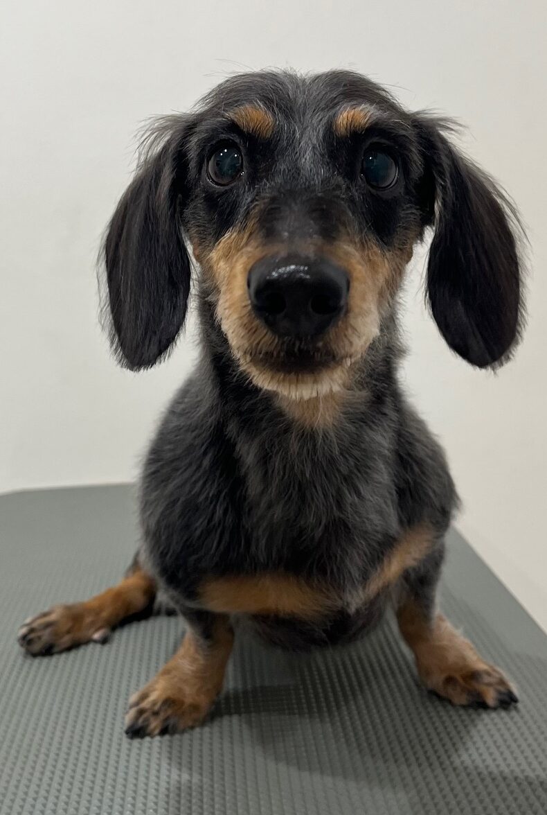 2025-11-5-%e8%b2%9d%e6%96%b9%e5%a3%ab%e3%83%ac%e3%83%b3