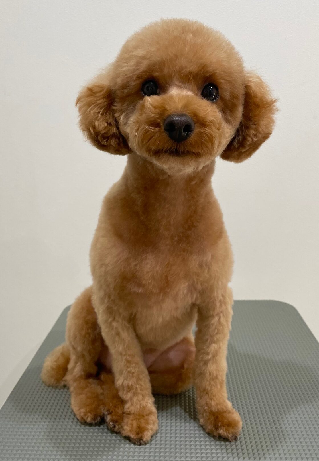 2025-11-7-%e5%9f%8e%e5%b3%b6%e3%83%97%e3%83%97