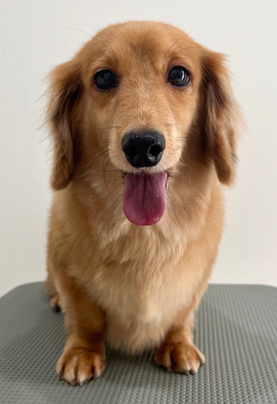 2025-11-7-%e5%a4%a7%e6%b4%a5%e3%83%9a%e3%83%ad