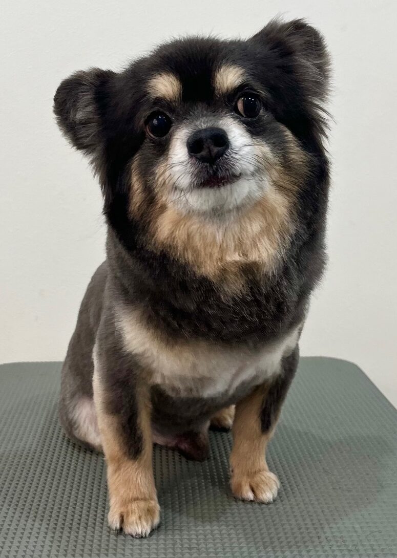 2025-11-7-%e6%9d%be%e4%b8%b8%e3%83%88%e3%83%83%e3%83%86%e3%82%a3