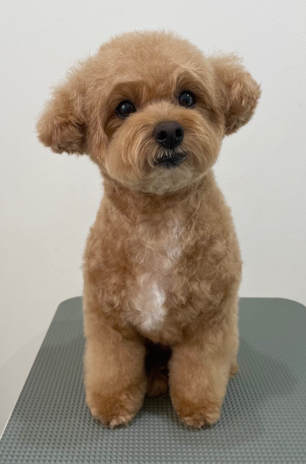 2025-11-7-%e7%89%87%e5%b2%a1%e3%82%86%e3%81%9a