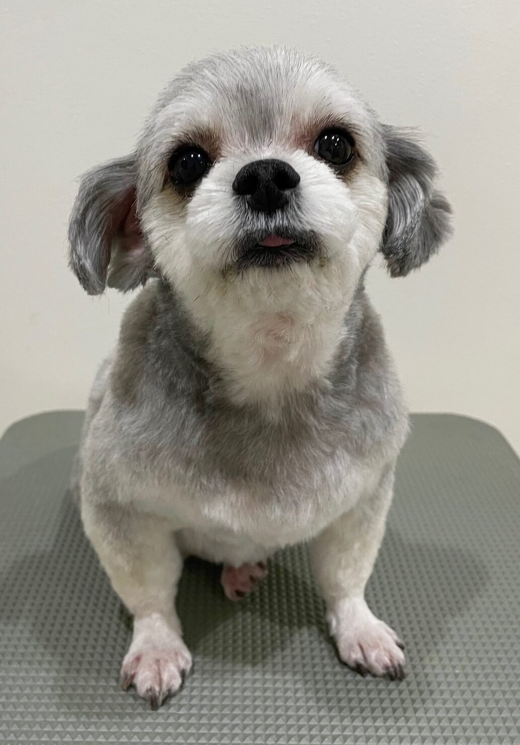 2025-11-9-%e6%9c%ac%e7%94%b0%e9%bb%92%e4%b8%b8