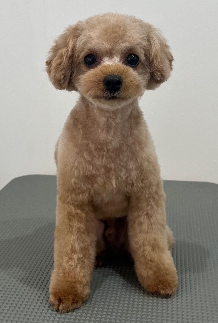 2025-11-9-%e6%a3%ae%e7%94%b0%e3%81%b2%e3%82%81