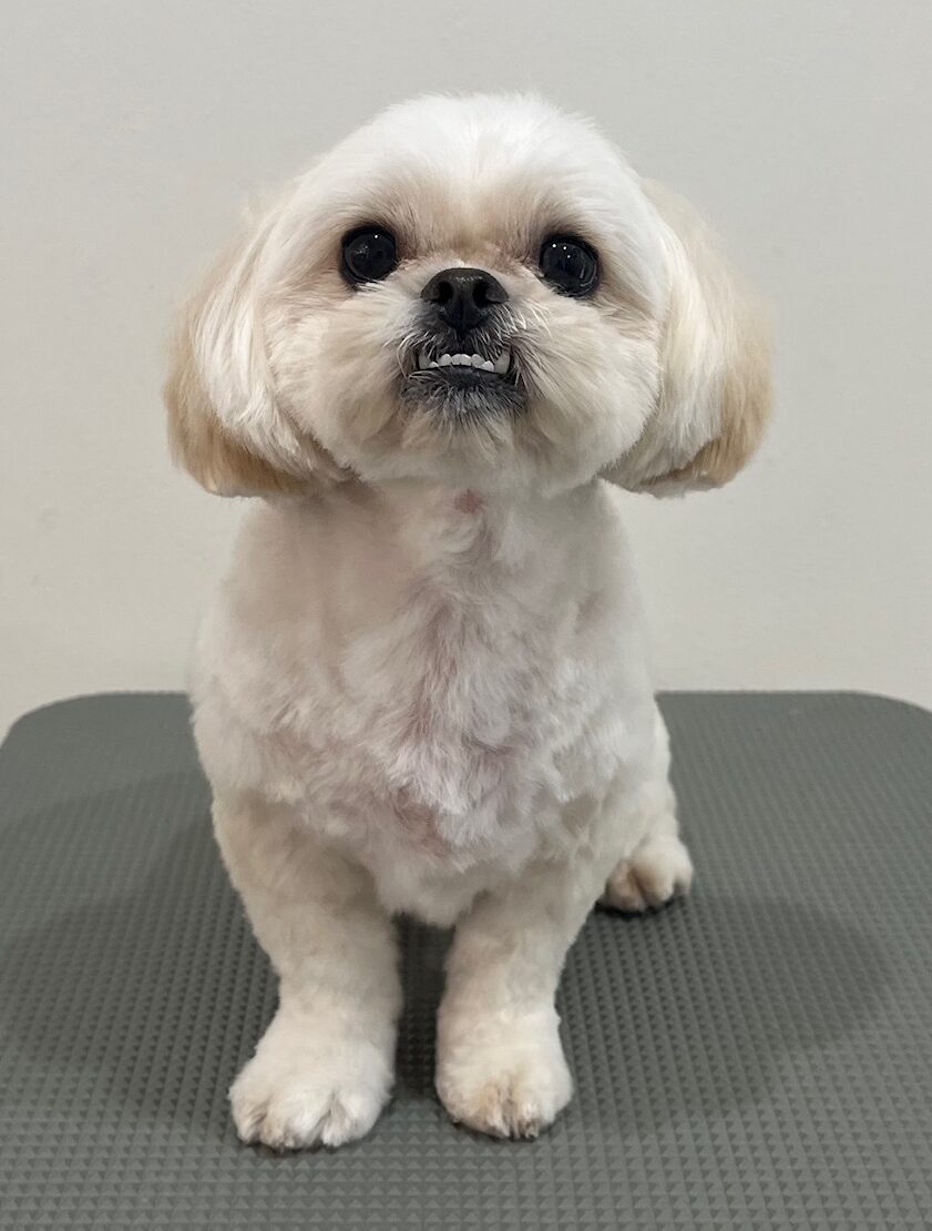 2025-11-19%e7%9f%b3%e9%bb%92%e3%81%8f%e3%81%86