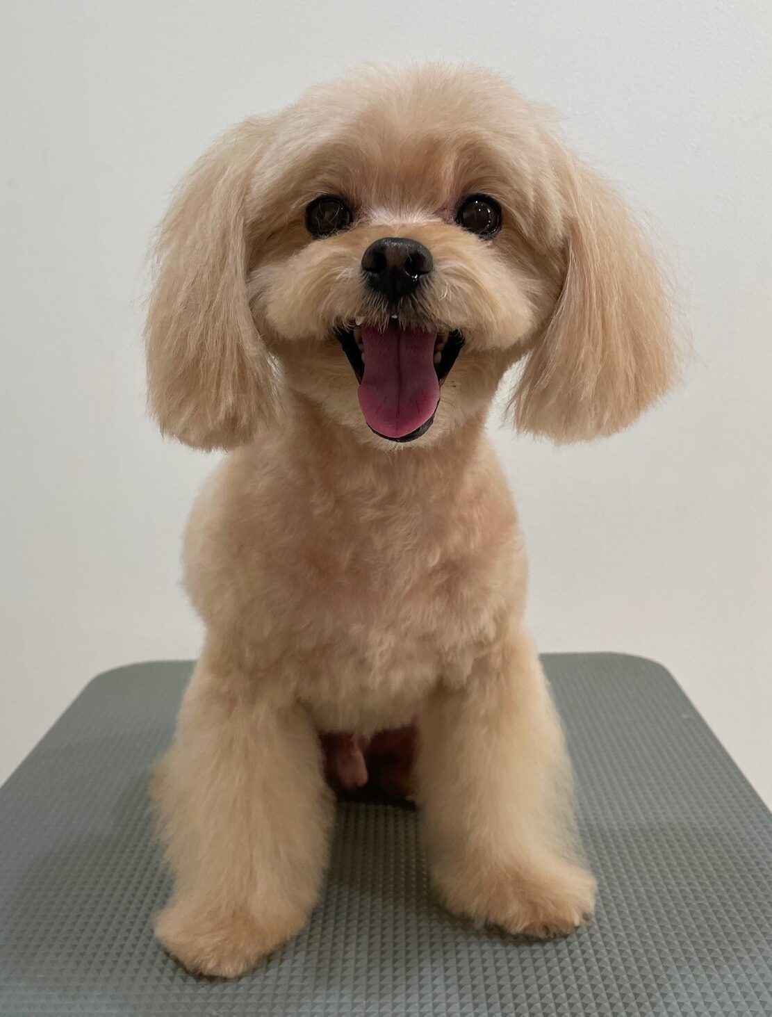 2025-11-23%e4%bd%90%e8%97%a4%e3%82%b4%e3%83%b3%e5%a4%aa