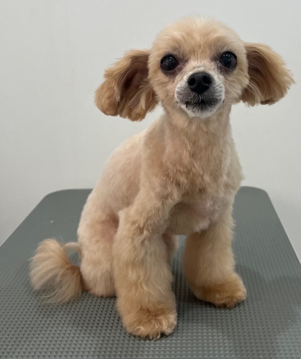 2025-11-23%e5%8a%a0%e8%97%a4%e3%83%81%e3%83%bc%e3%82%ba