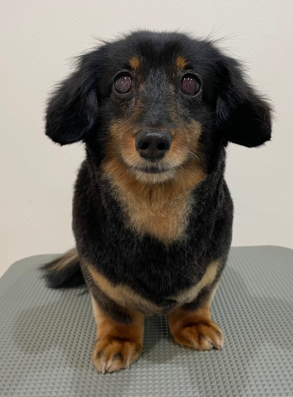 2025-11-23%e5%b4%8e%e7%94%b0%e3%83%86%e3%82%a3%e3%83%8a