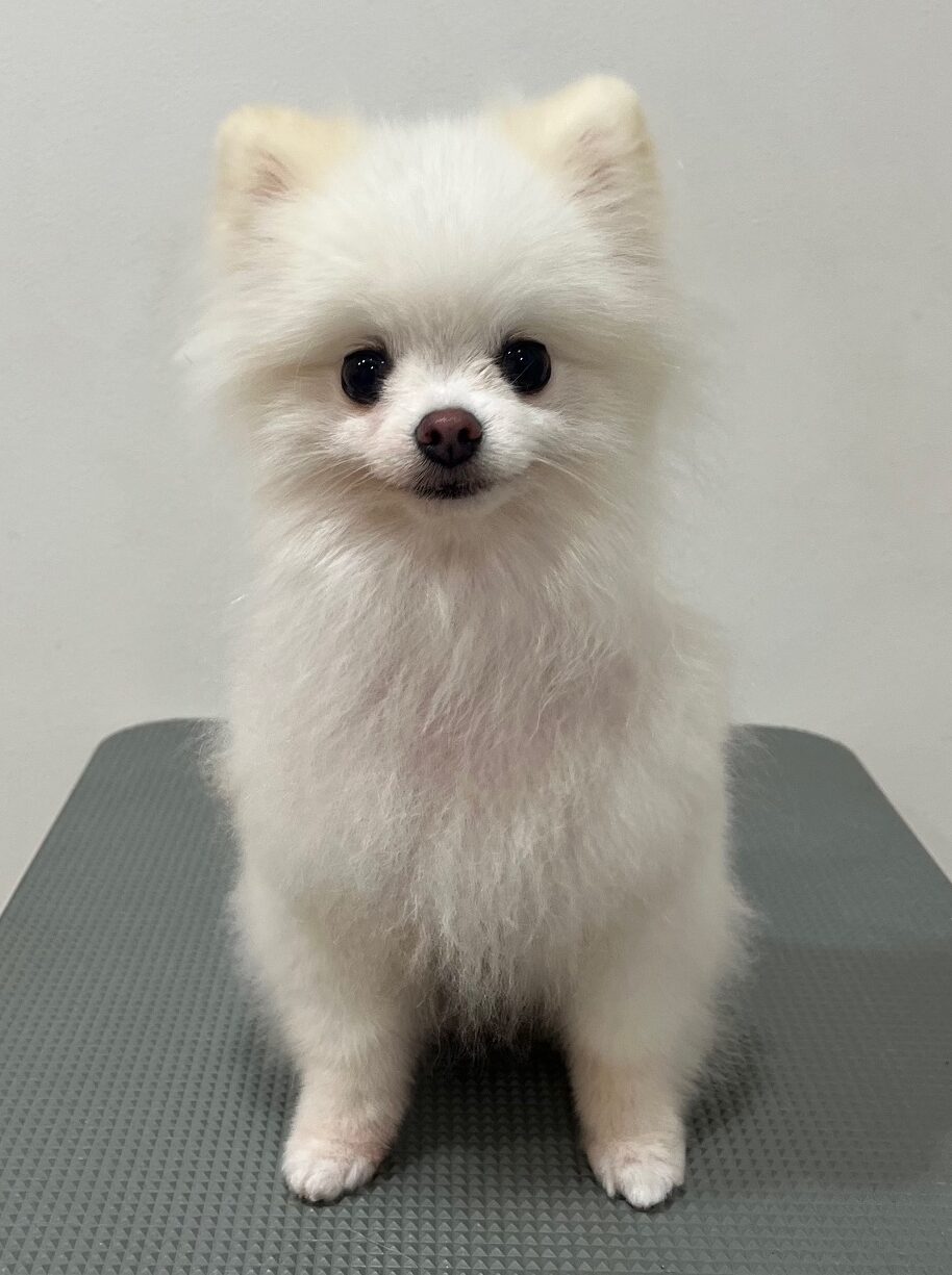 2025-11-23%e6%a9%8b%e6%9c%ac%e7%be%bd%e7%a9%ba