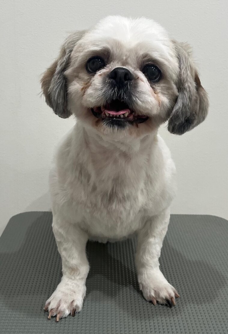 2025-11-23%e7%9f%b3%e4%ba%95%e3%81%af%e3%82%8b