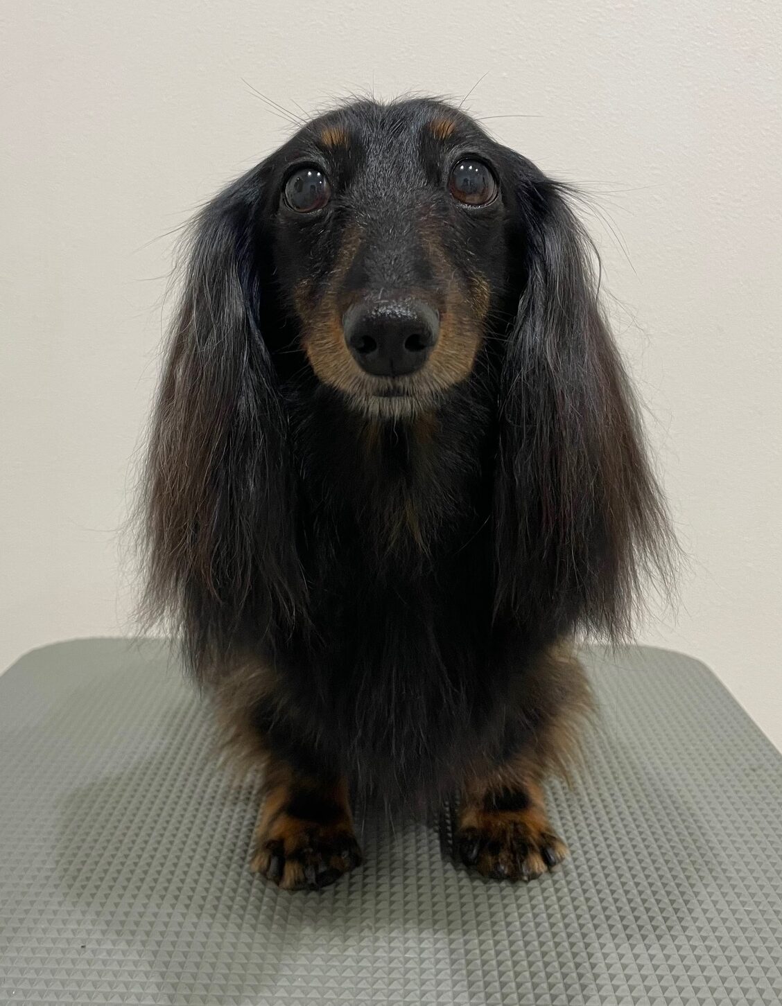 2025-11-25%e5%af%ba%e7%94%b0%e3%81%8a%e3%82%88