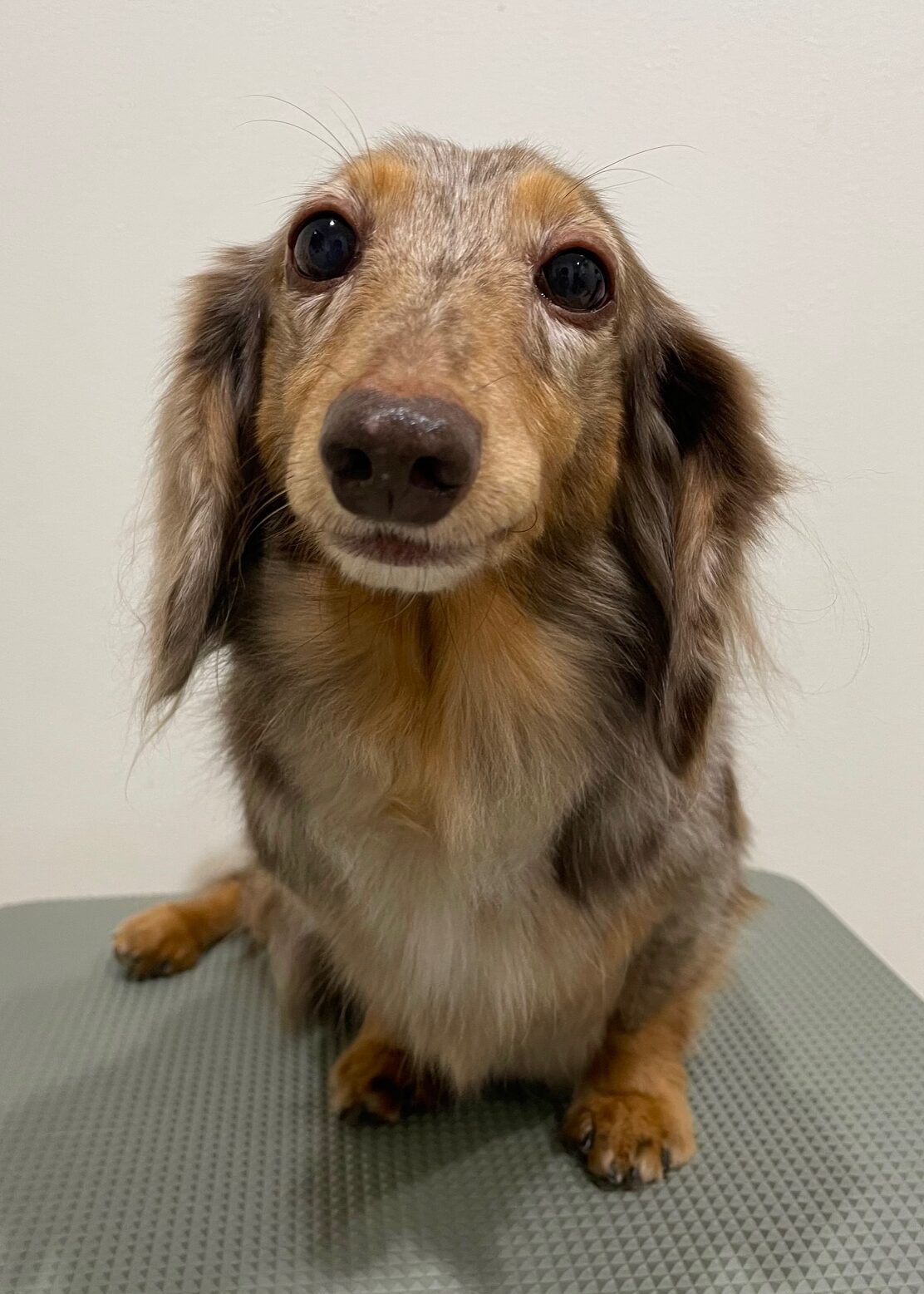 2025-11-25%e5%af%ba%e7%94%b0%e3%81%be%e3%82%8d