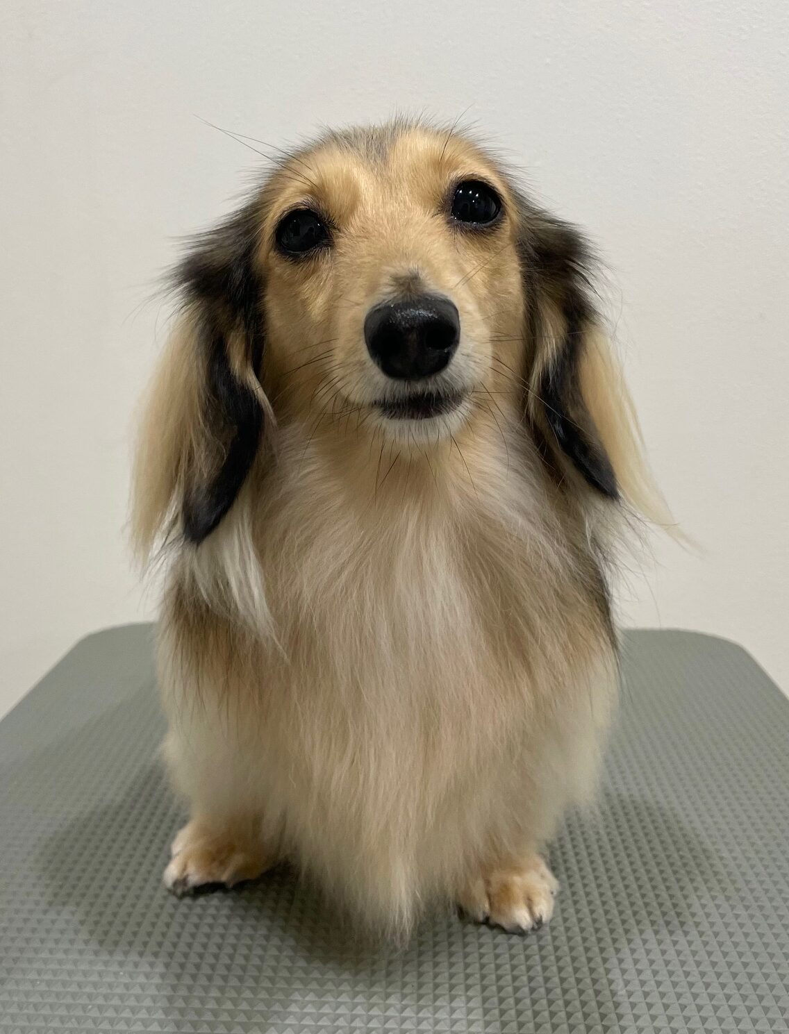 2025-11-25%e5%af%ba%e7%94%b0%e3%82%82%e3%82%8b