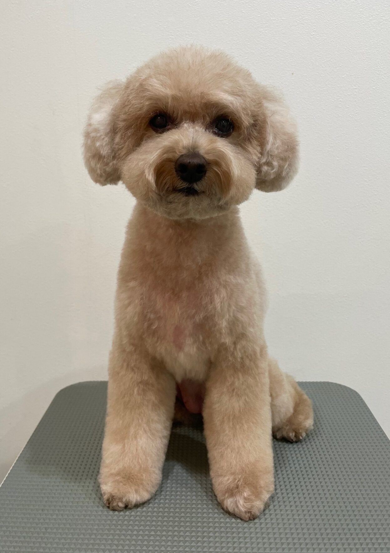 2025-11-25%e6%a8%aa%e5%8e%9f%e3%83%97%e3%83%aa%e3%83%b3