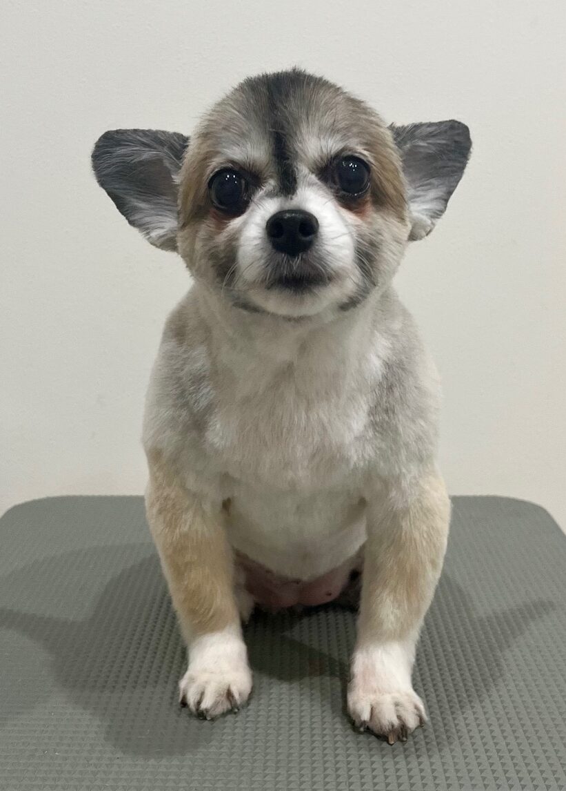 2025-11-25%e6%b8%85%e6%b0%b4%e3%82%b0%e3%83%9f