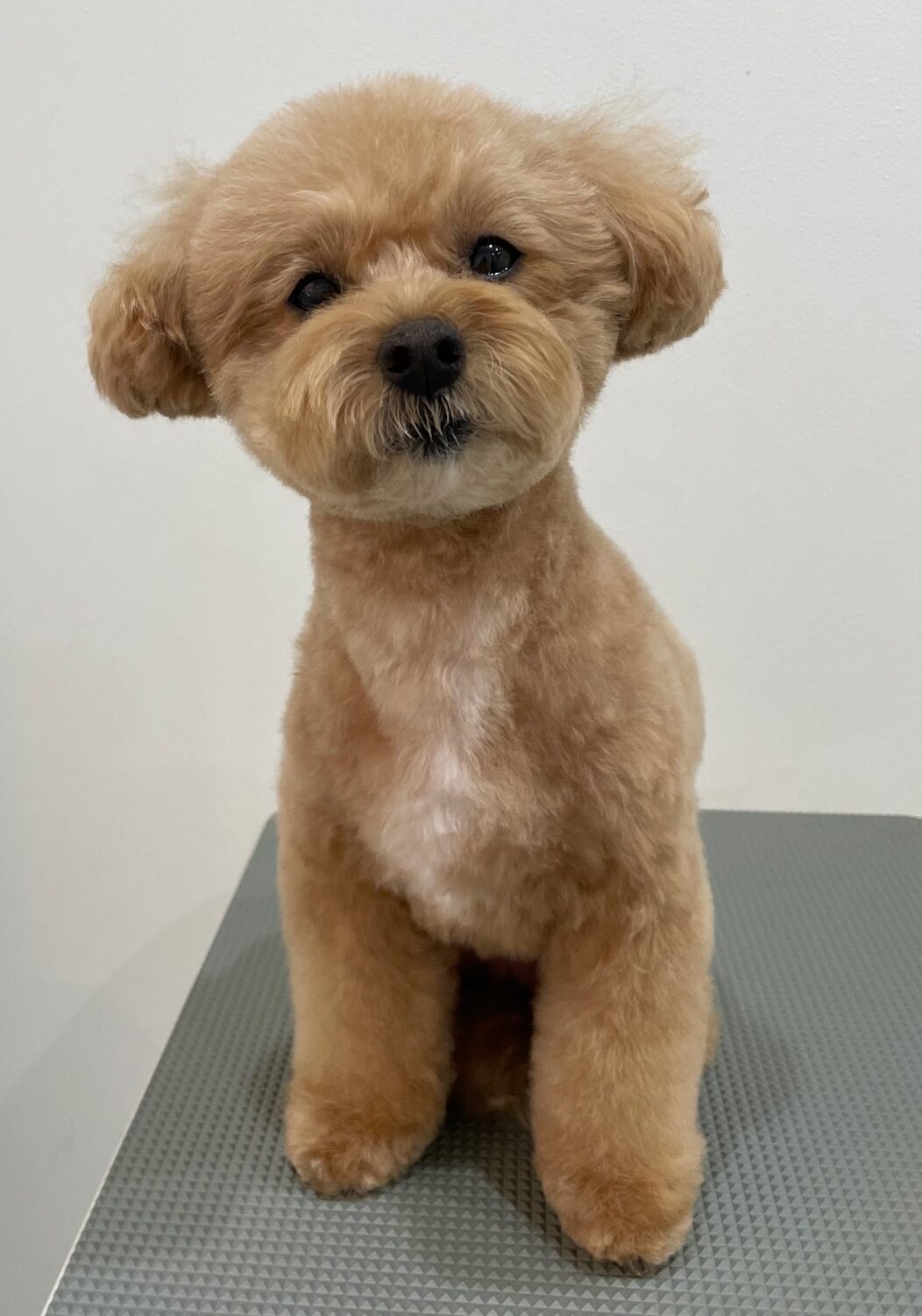 2025-11-25%e7%89%87%e5%b2%a1%e3%82%86%e3%81%9a