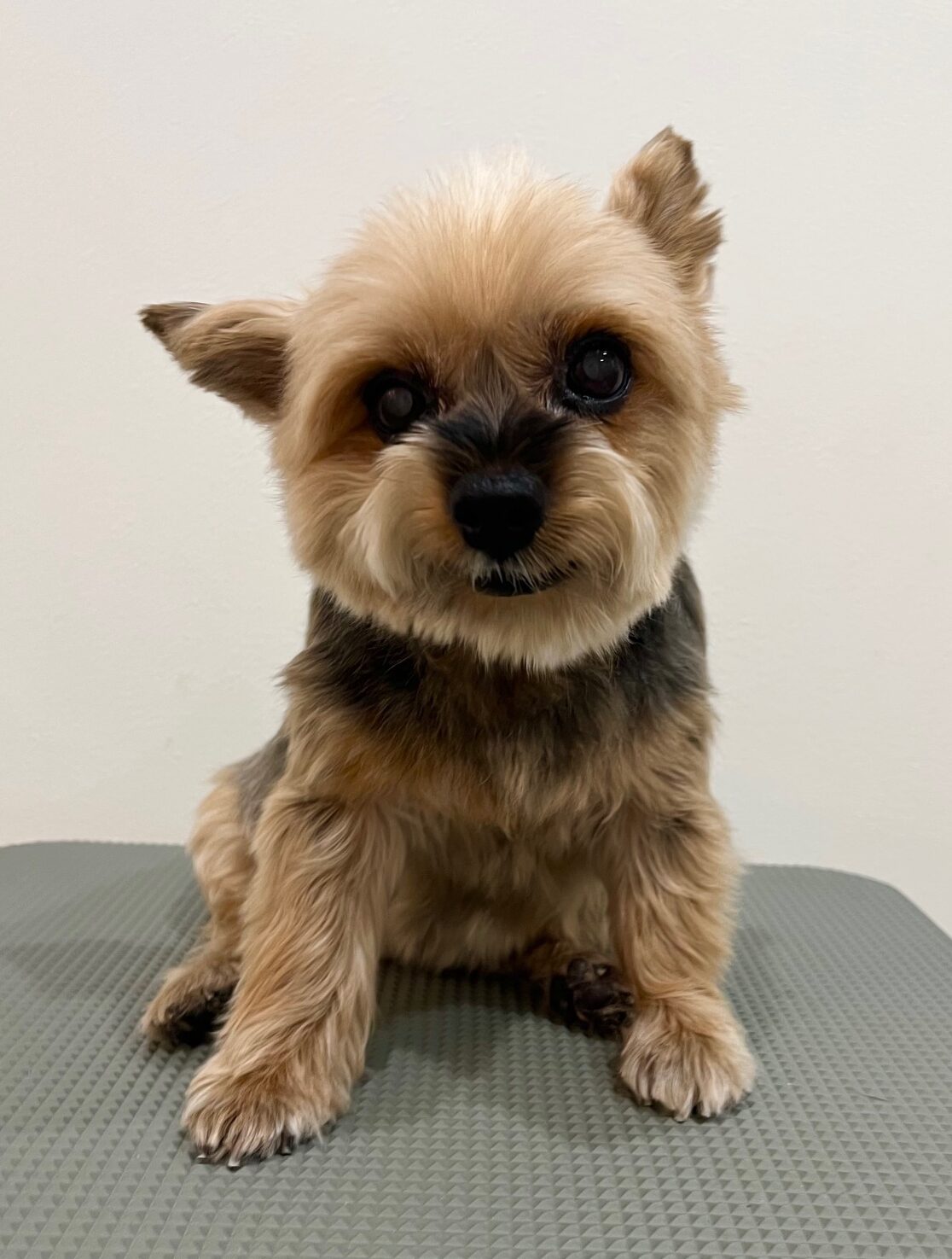 2025-11-25%e9%96%a2%e9%87%8e%e3%83%8e%e3%82%a2