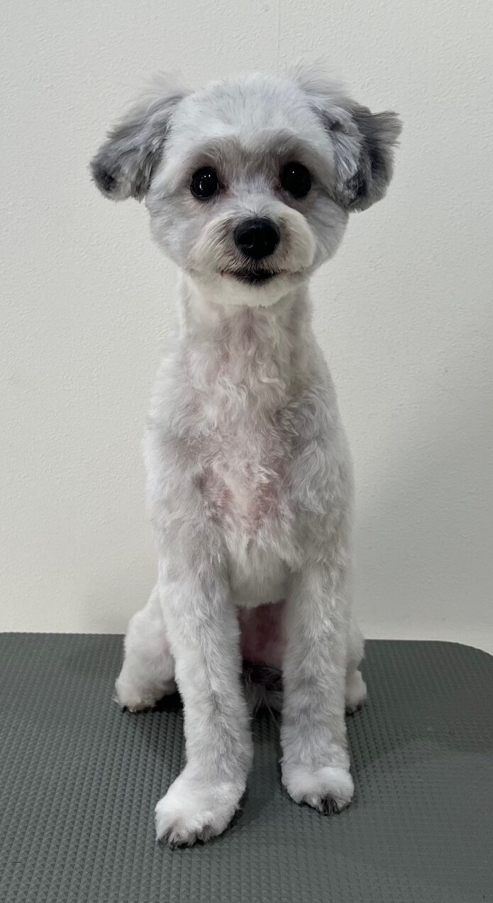 2025-11-26%e4%b8%ad%e6%9d%91%e3%81%be%e3%82%8b