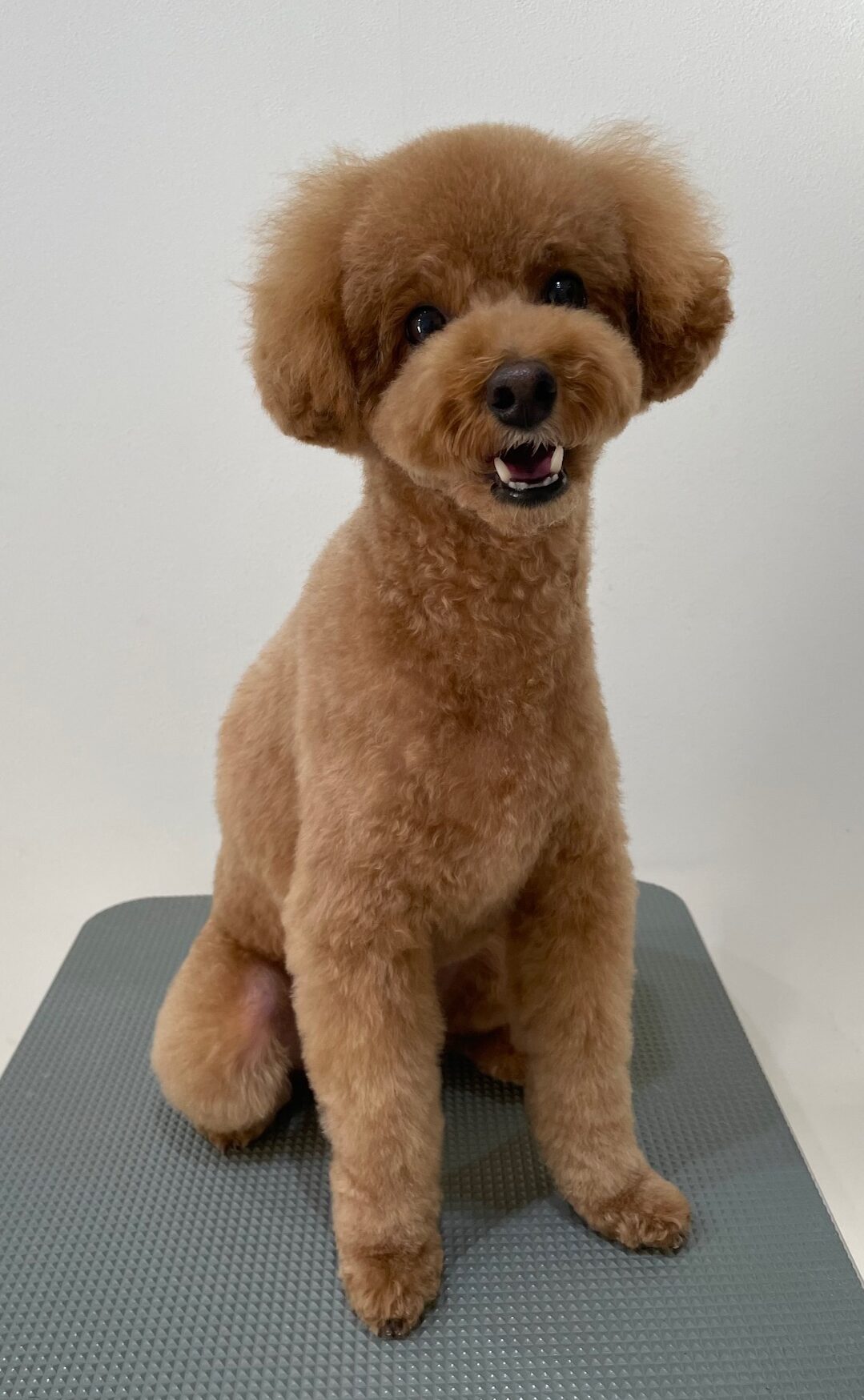 2025-11-26%e4%bc%8a%e8%b1%86%e5%b7%9d%e7%a9%ba%e6%9d%a5