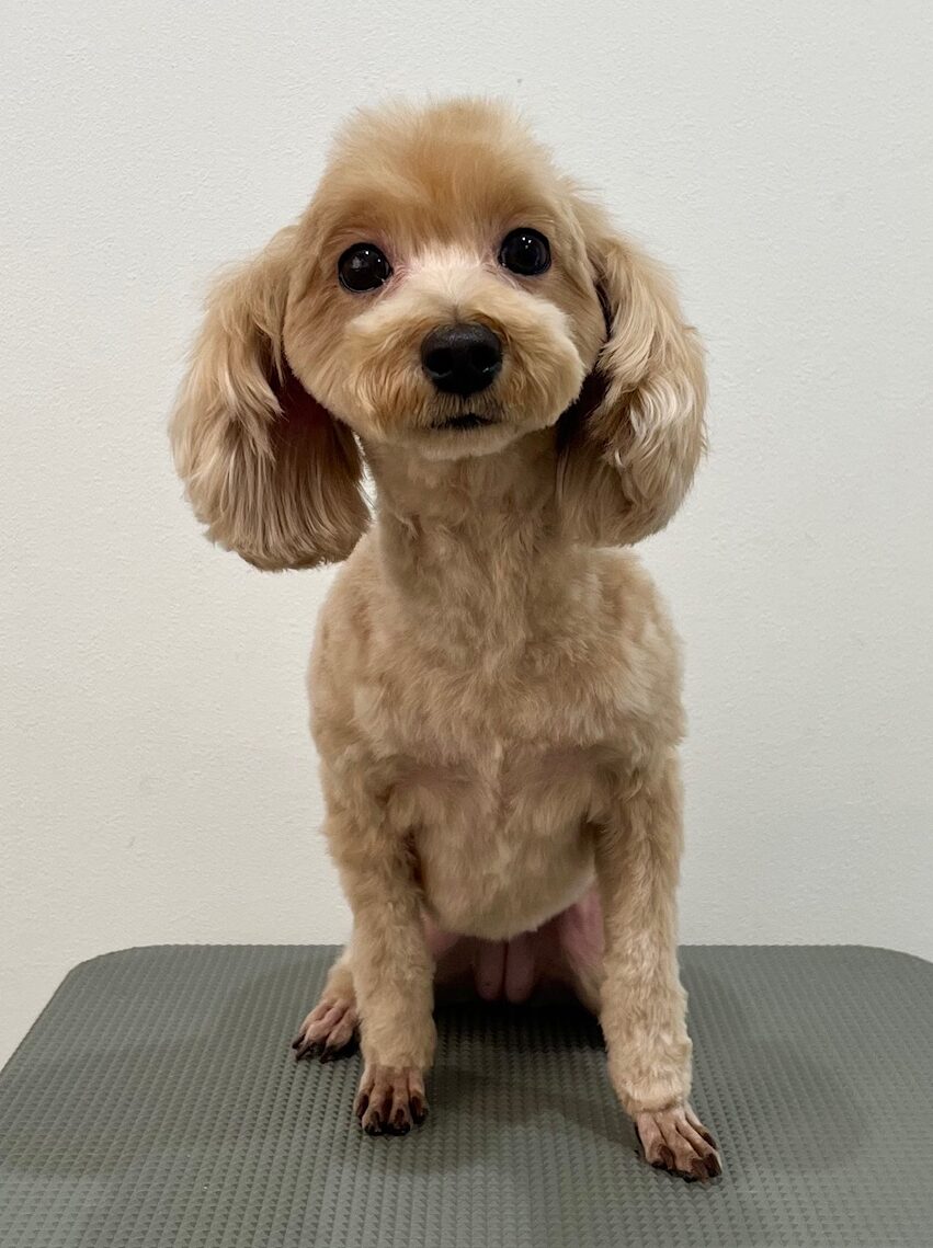 2025-11-26%e5%8f%a4%e5%b7%9dloco