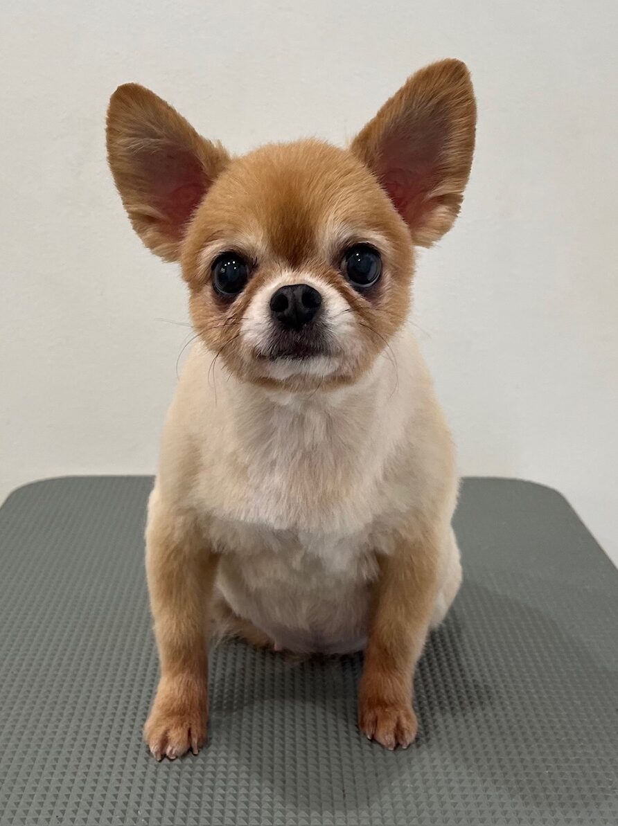 2025-11-26%e6%b0%b8%e4%ba%95%e3%81%bf%e3%81%8f