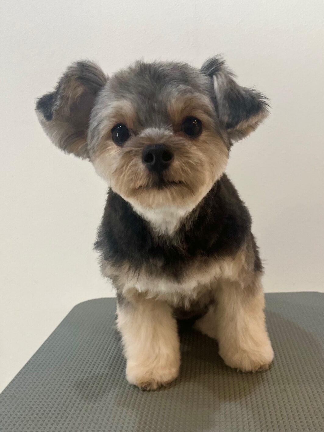 2025-11-28%e4%b8%ad%e9%87%8e%e3%83%a1%e3%82%b0