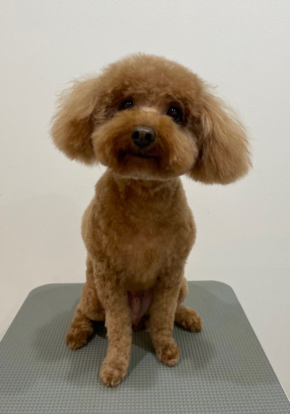 2025-11-28%e4%bc%8a%e6%9d%b1%e3%83%ac%e3%82%a2