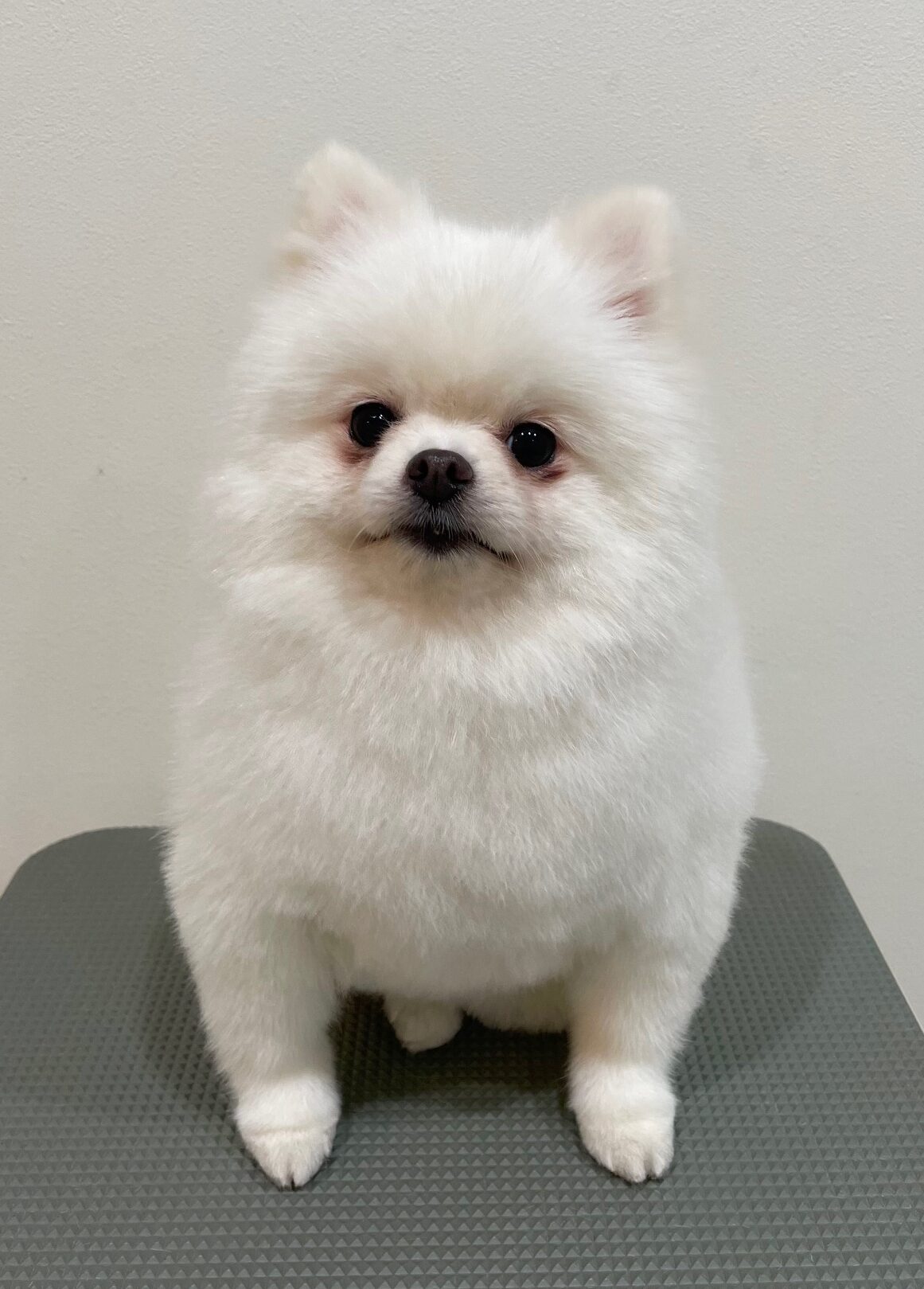 2025-11-28%e5%85%89%e5%ae%89%e3%82%b3%e3%82%b3