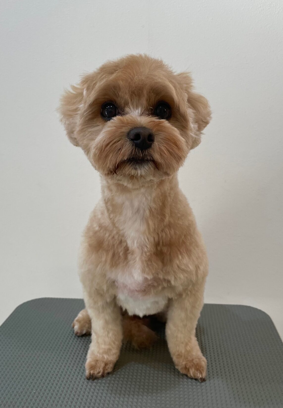 2025-11-28%e5%b9%b8%e7%9c%9f%e3%81%b7%e3%81%b7