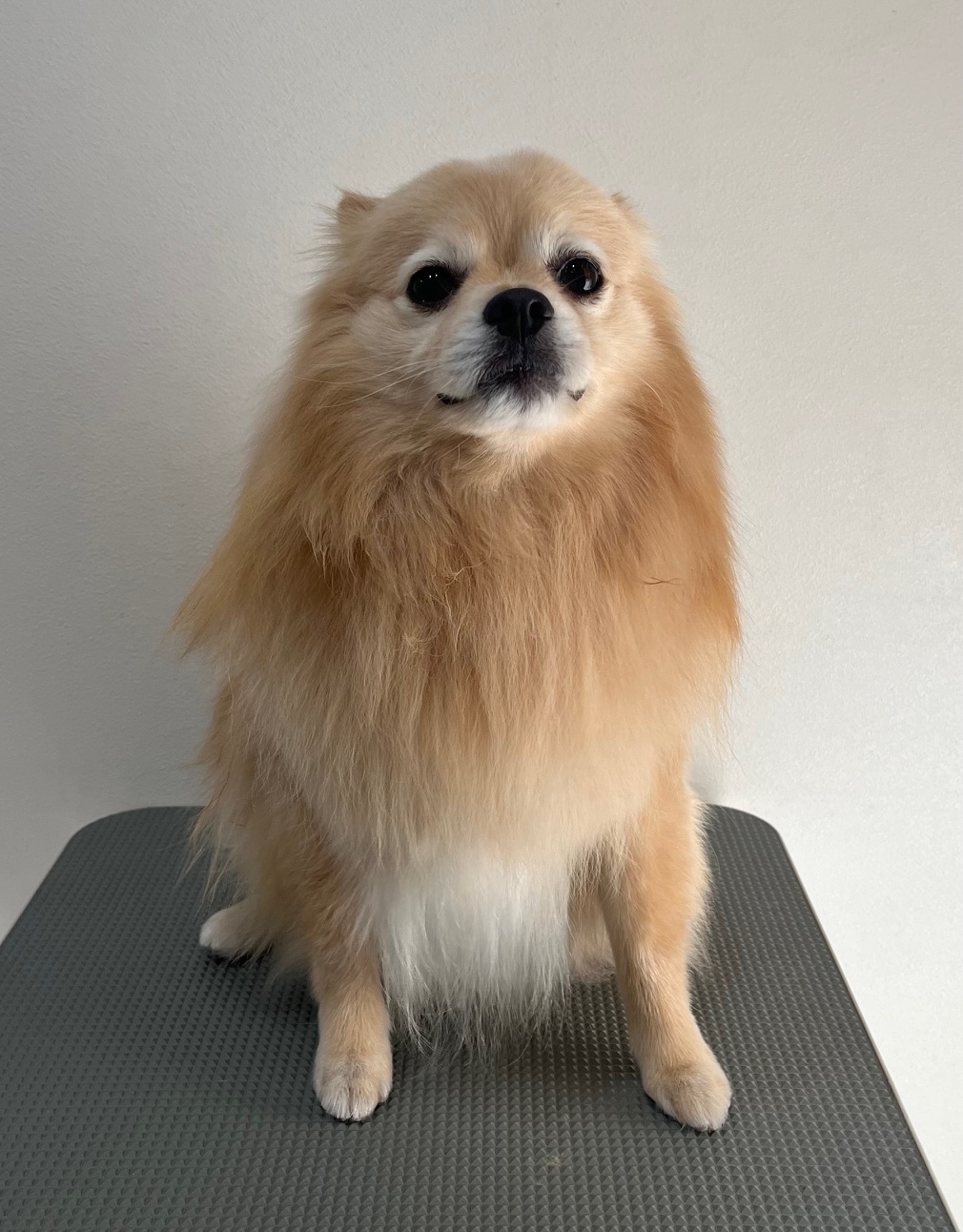 2025-11-28%e9%98%bf%e9%83%a8%e9%a0%bc