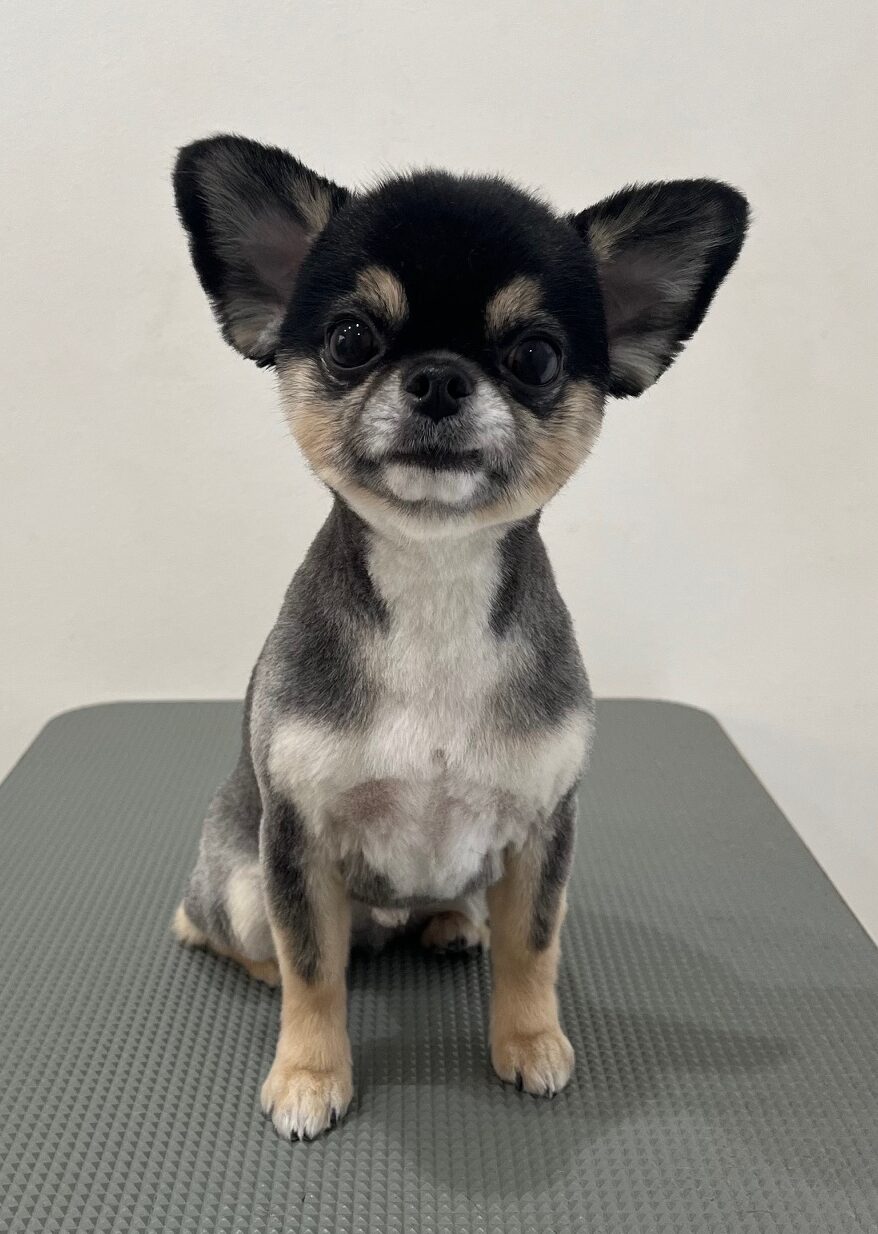 2025-11-30%e4%bd%90%e8%97%a4%e3%82%b1%e3%83%b3