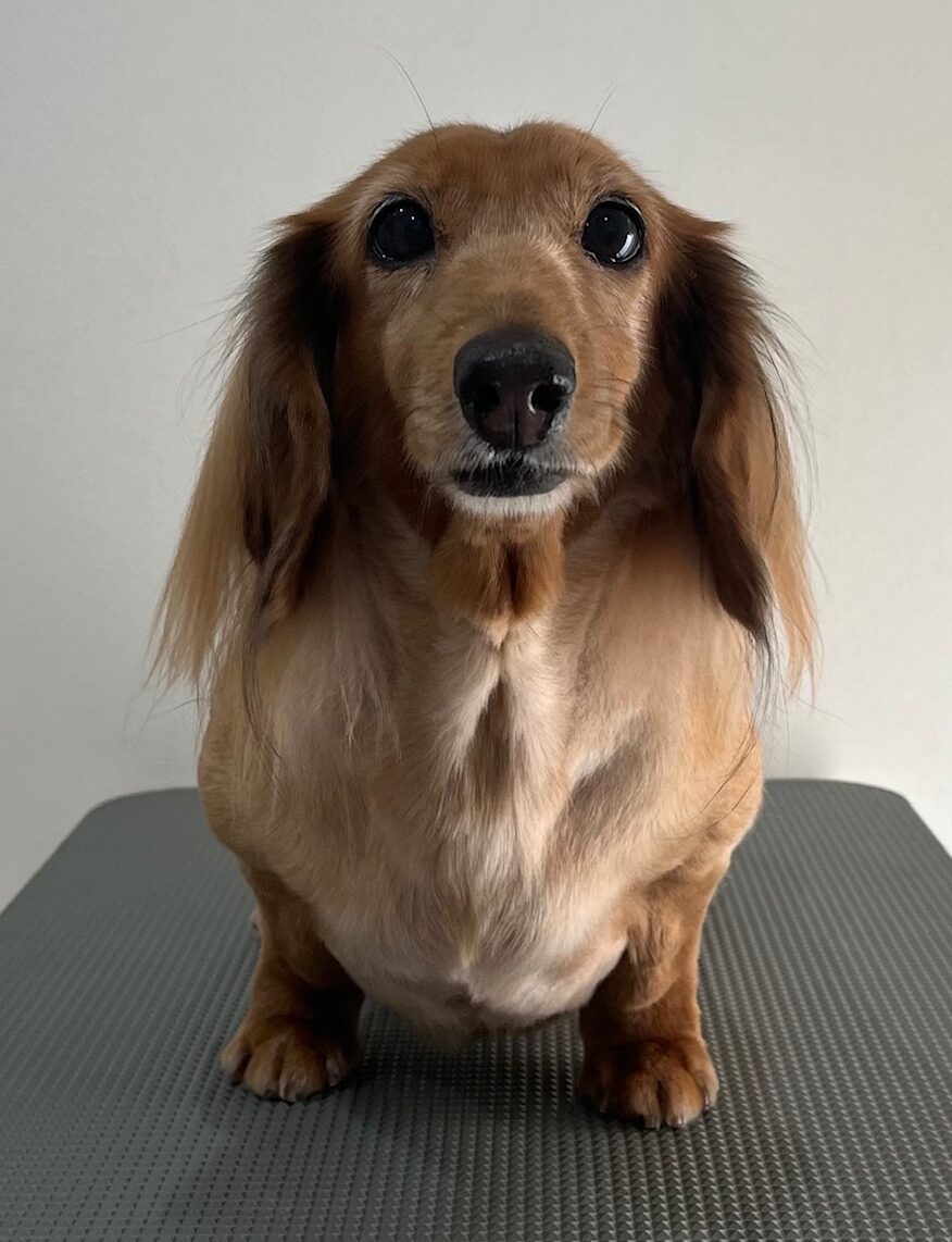 2025-11-30%e5%a4%a7%e5%a0%80%e7%88%bd%e5%ad%90