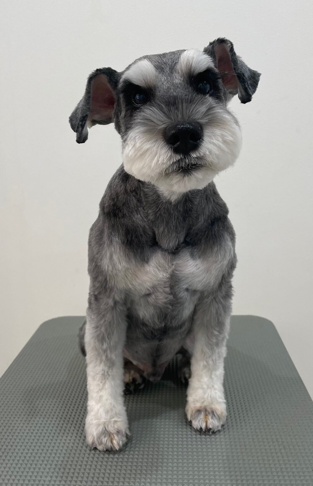 2025-11-30%e5%b0%8f%e6%b1%a0%e3%82%a2%e3%83%bc%e3%82%b9